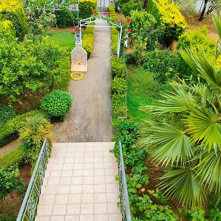 House With Wonderful View Apartamento Lefkandi Chalkidas Exterior foto