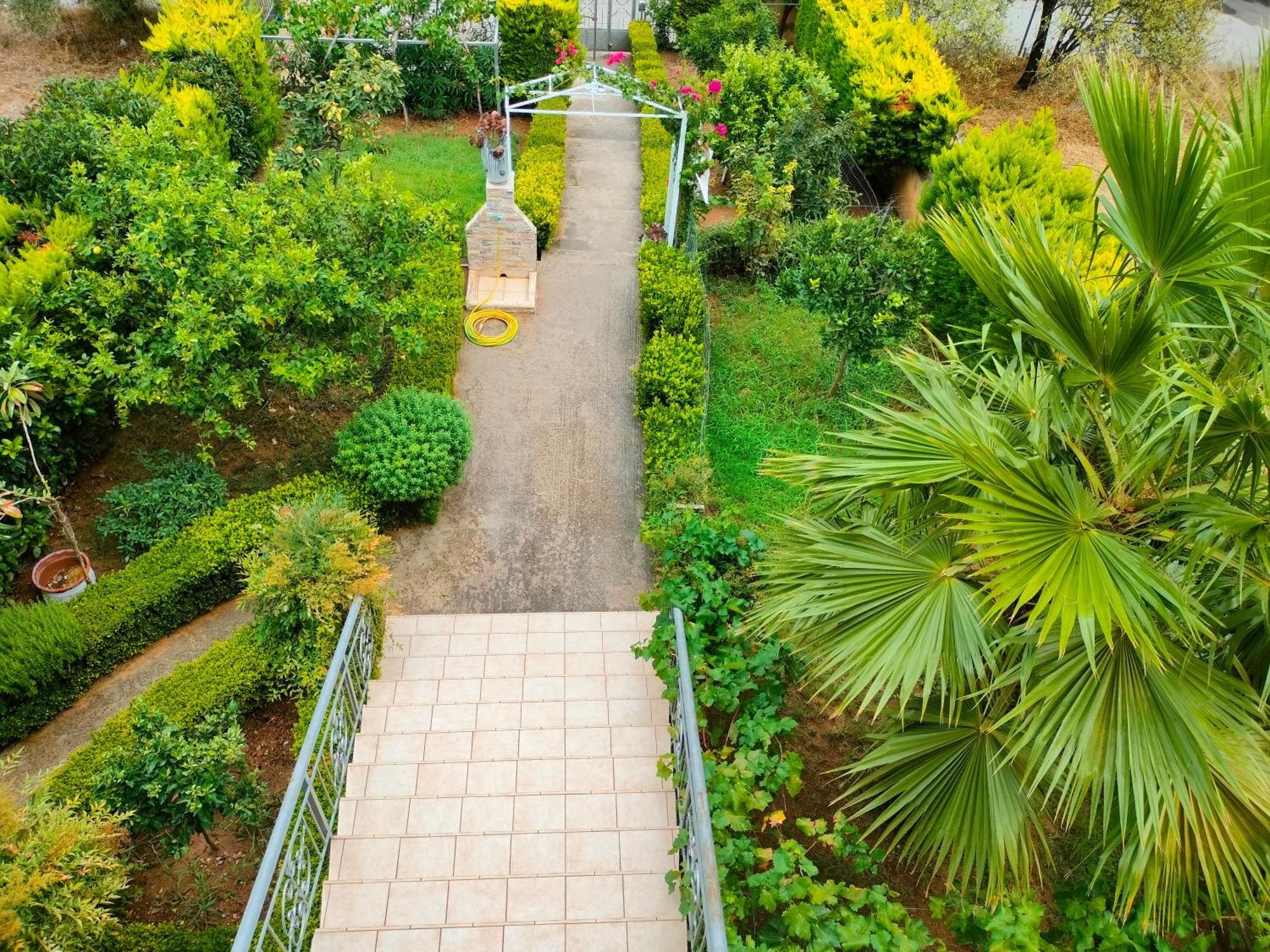 House With Wonderful View Apartamento Lefkandi Chalkidas Exterior foto