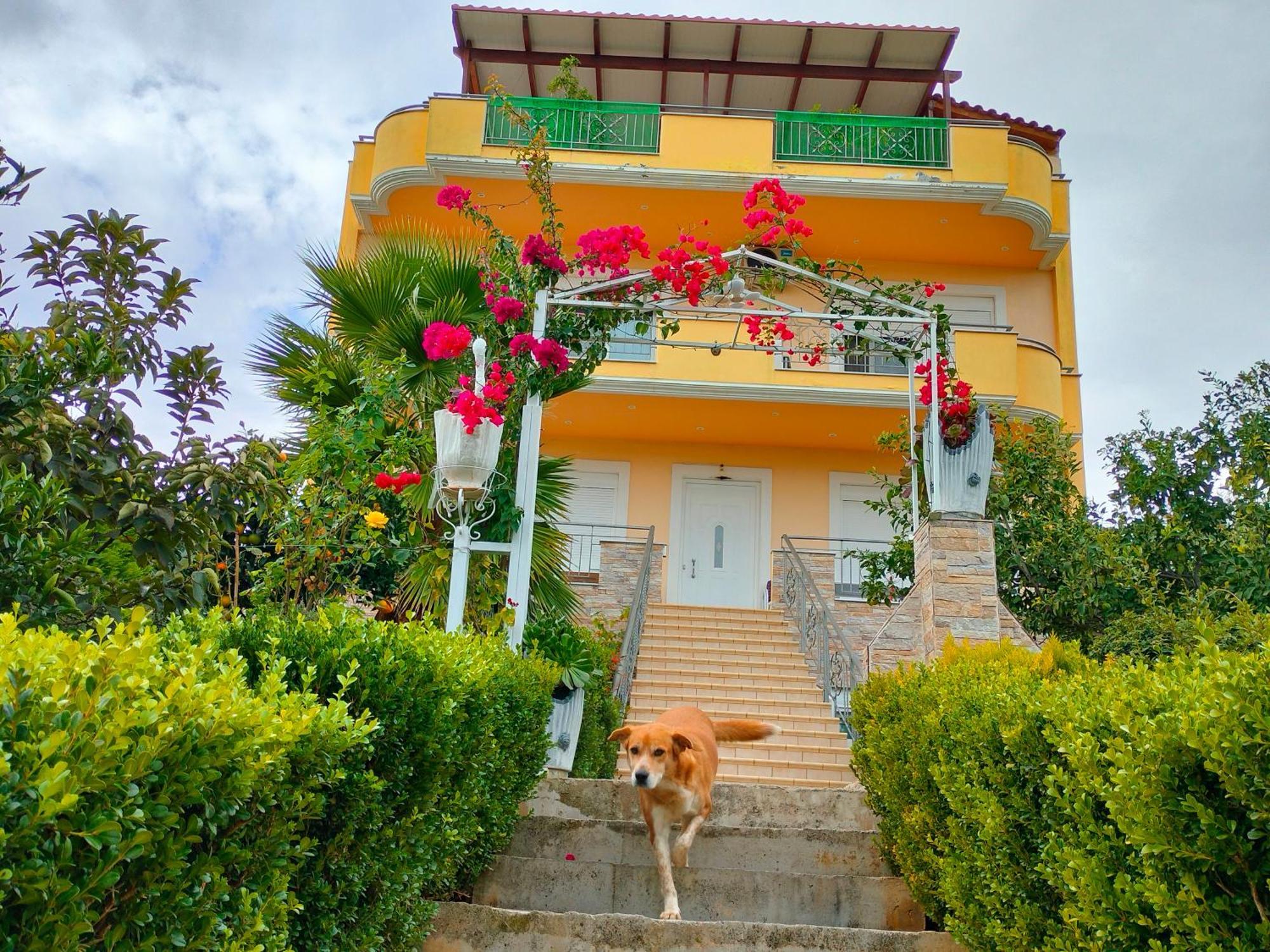 House With Wonderful View Apartamento Lefkandi Chalkidas Exterior foto